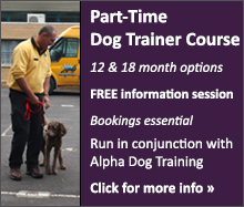 Part-Time Dog Trainer's Course