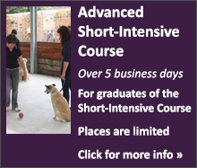 Advanced Full-Time Dog Trainer's Course